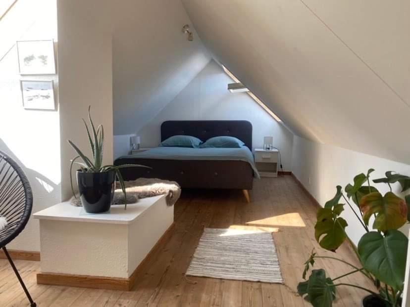 Christina Apartment Олбор Екстериор снимка